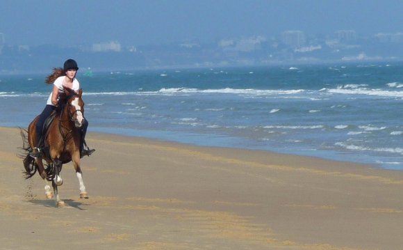 Horse riding Studland