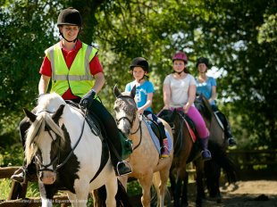 Horseriding into the brand new woodland