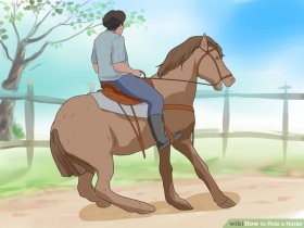 Image titled Ride a Horse Step 8