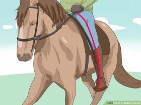 Image titled Ride a Horse Step 3