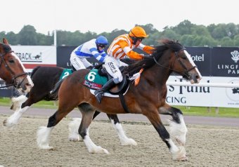 Joey wins the Showerking Flying Feathers Maiden Stakes at Lingfield Park Racecourse
