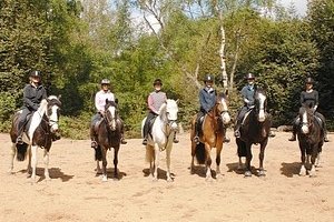 js_17 improver dressage training course