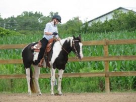 kathyfindley400x300.jpg