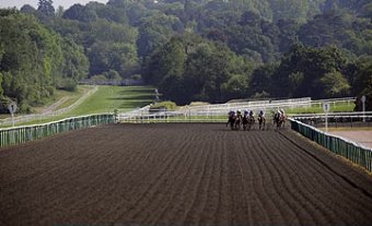 Lingfield racecourse (Polytrack)