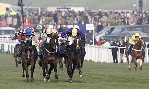 Lord Windermere Cheltenham Gold Cup