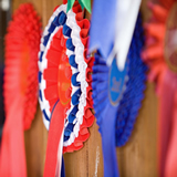 nationwide Champion Riding Shires