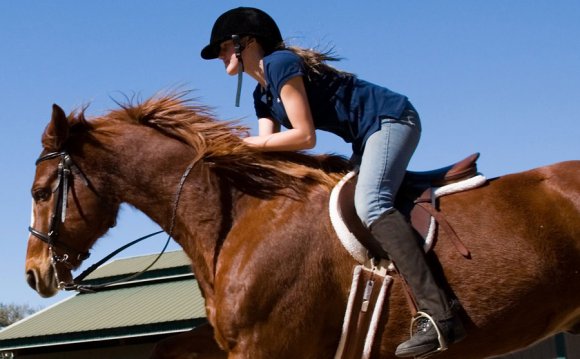 Horse riding lessons Dorset
