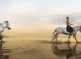 Horseback riding Vacation Packages