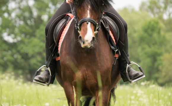 Buy the right riding equipment online