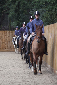 operating classes when you look at the outside arena at Kingston