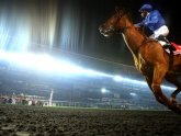BBC Horse Racing Results Meydan