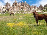 Best places to go Horseback riding