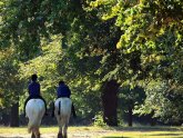 Horse riding Central London