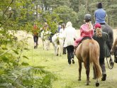 Horse riding lessons in Hampshire
