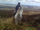 Horse riding North West