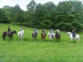 Horse Riding, Yorkshire Dales