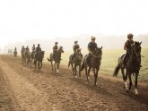 Newmarket Horse Racing