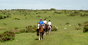 memorable horse and pony trekking and horse riding holidays in Cornwall