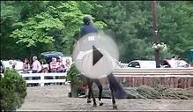 2013 Keswick Hunter Derby - Zachary Parks riding Cavallino