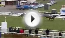 At The Races UK and Irish Horse Racing video, form, tips