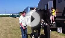 Baby Oscar Eddy riding Diamond shire horse