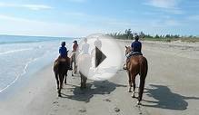 Beach horseback riding in Florida: Where to go