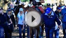 Belmont Stakes 2014 Horses: Race-Day Overview for