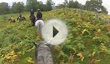 Cairngorms - Horse Riding - Newtonmore