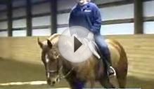 Changing Diagonals: Free Horseback Riding Lessons