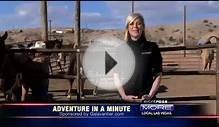 Fox 5 Horseback Riding from Wildwest Horseback Adventures