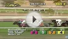 FUNNIEST HORSE RACING CALL EVER