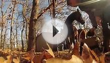 GoPro- A horse riding experience.
