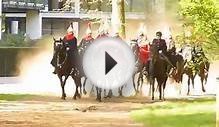 Horse Guard Riding Lessons in Hyde Park