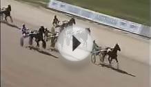 Horse Race Caller Loses His Voice!
