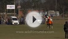 Horse race in slow motion - Kila Raipur sports event