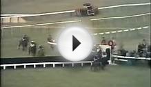 Horse Racing 1973 Cheltenham Gold Cup Pendil and The Dikler