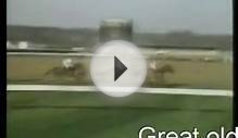 Horse Racing 1979 Hennessy Cognac Gold Cup Newbury