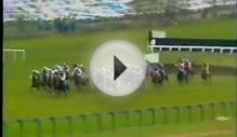 Horse Racing 1982 Triumph Hurdle Cheltenham. Shiny Copper.avi