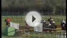 Horse Racing 1983 Massey Furgesson Gold Cup Cheltenham
