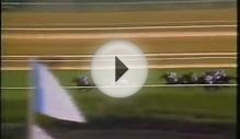 Horse Racing 1985 Breeders Cup Mile. Cozzene