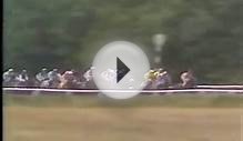 Horse Racing 1987 Schweppes Golden Mile Goodwood. Waajib
