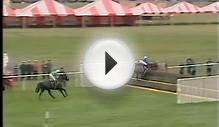 Horse Racing Gone Bad (part 1)