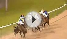 Horse Racing Tips - Deja Vu