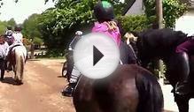 Horse Riding