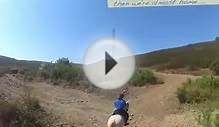 Horse Riding Algarve | QPA Horse Riding Centre - A Ride up