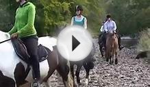 Horse Riding Argyll Adventure Inveraray Scotland