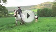 Horse Riding at Llangorse Multi Activity Centre