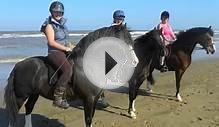 Horse riding Beach Horse Holidays Field farm Lincolnshire