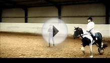 horse riding lesson filmed with high speed camera
