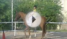 Horse riding lesson in dubai wmv |Horse Riding Schools|